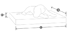 dimensions